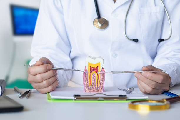 Best Emergency Dental Care for Broken or Chipped Teeth in Espy, PA